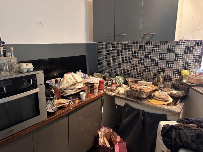 Cuisine avant nettoyage - Syndrome de Diogène