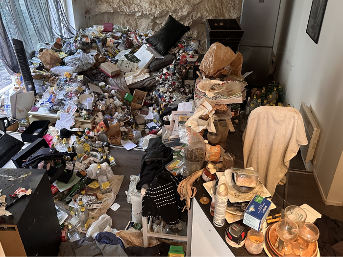 Nettoyage_diogene_salon_avant_resized