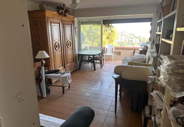 Salon nettoyé après un débarras à Marseille - Solution Diogène